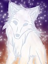 Spirit