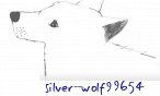 Silver_wolf99654