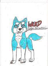 Weed from GDW!