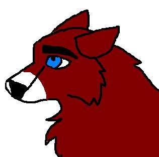 BAlto's pup