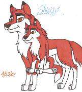 My character Shingo(One of Balto's pups)