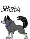 My wolf charrie;Shista