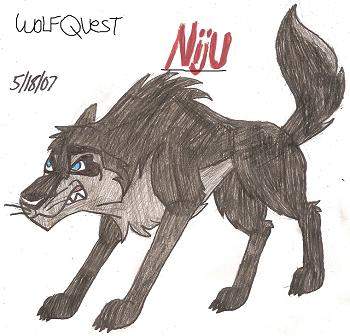 Niju the Wolf