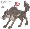 Niju the Wolf