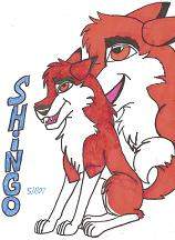 Shingo