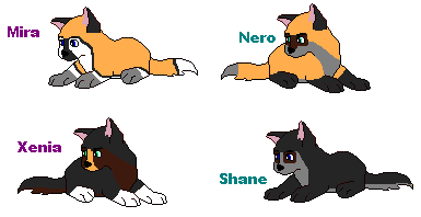 Slate and Missy's pups