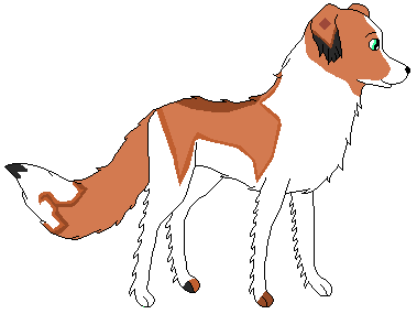 Lila