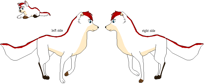 Crysa Reference