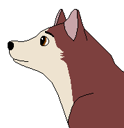 Kodi again