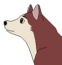 Kodi again
