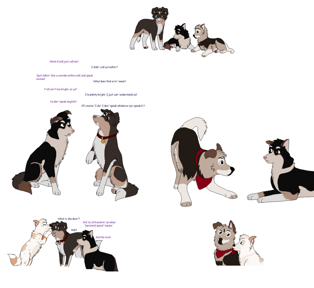 Sibling Reunion
