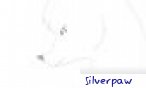 silverpaw_4009