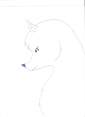 silverpaw