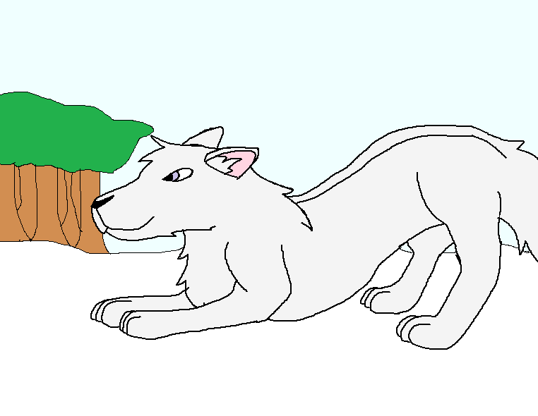 Aniu