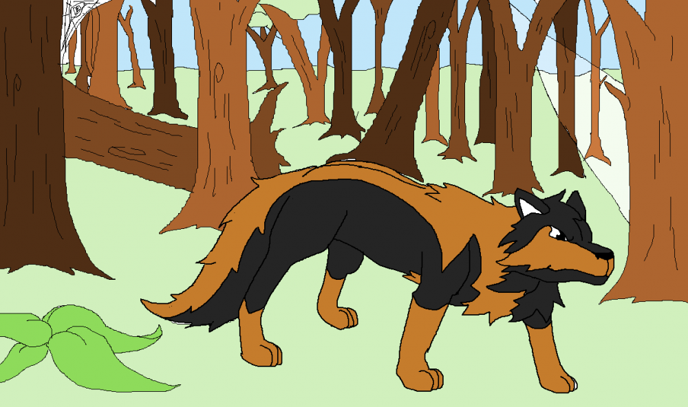 Blaze dans la forêt