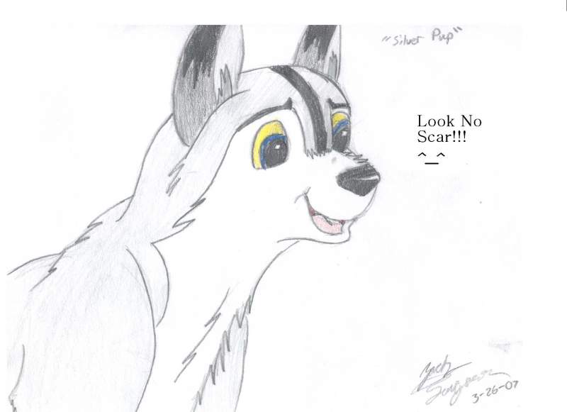 Before the Scar