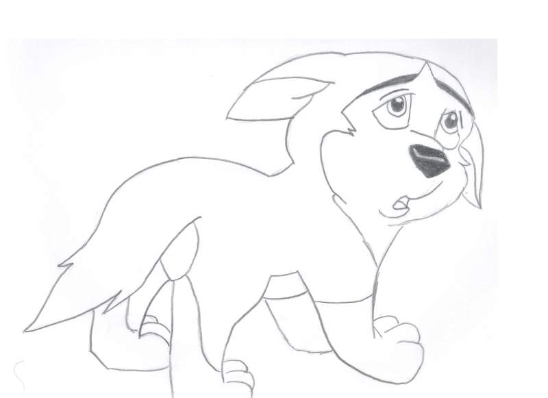 Kodi Crying Puppy