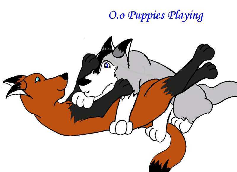 Silver and Shada playing