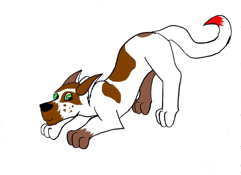 Pup 2 for lone =]
