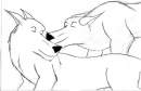 Kish + Alyak O.o