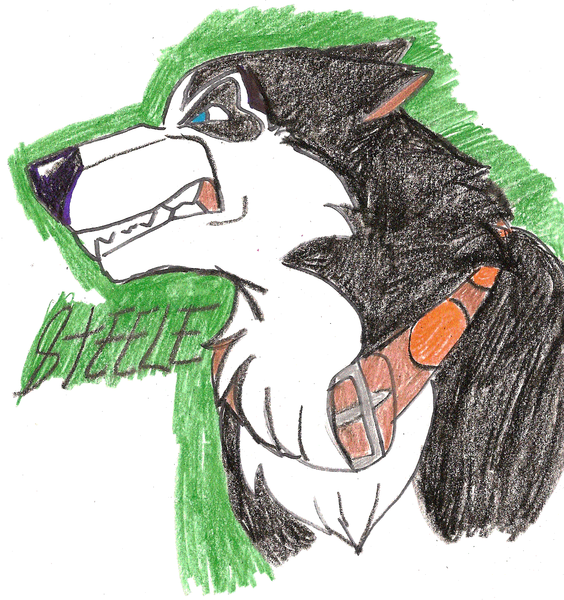 Silverwolfpaws