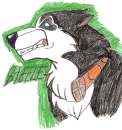 Silverwolfpaws