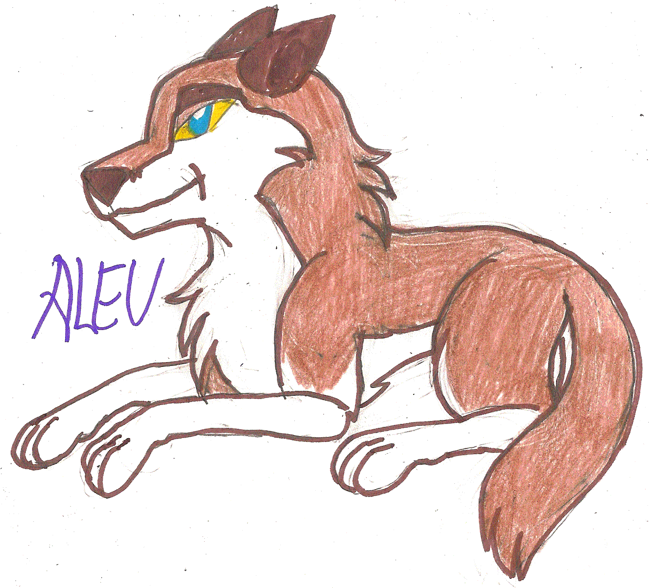 SilverWolfPaws