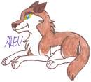 SilverWolfPaws