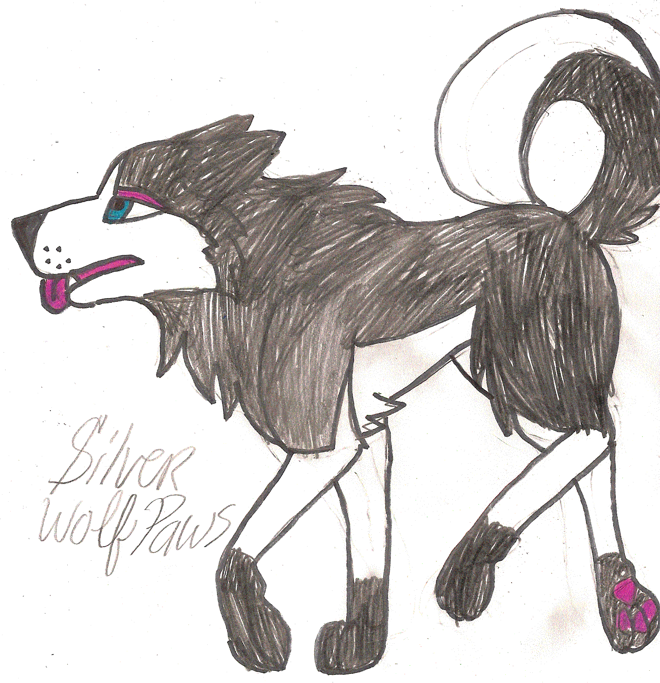 Silverwolfpaws