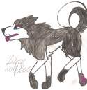 Silverwolfpaws