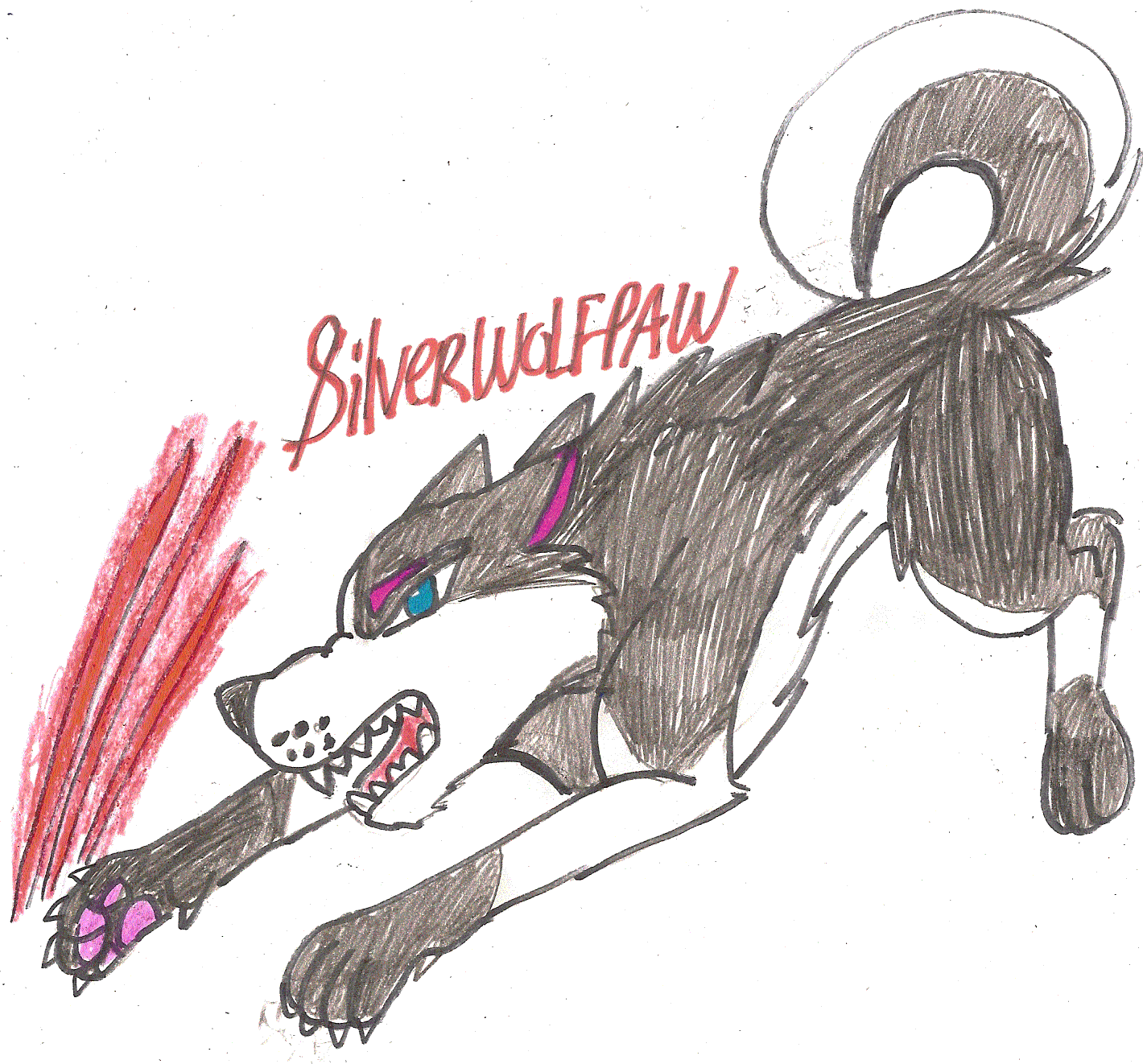 Silverwolfpaws