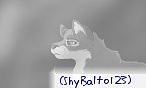 (ShyBalto123)