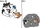 Why Steele Hates Balto