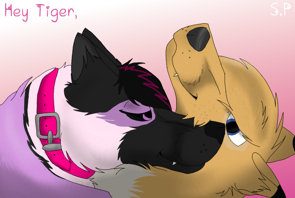 Mira and Puma being cute love birds^^