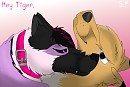 Mira and Puma being cute love birds^^
