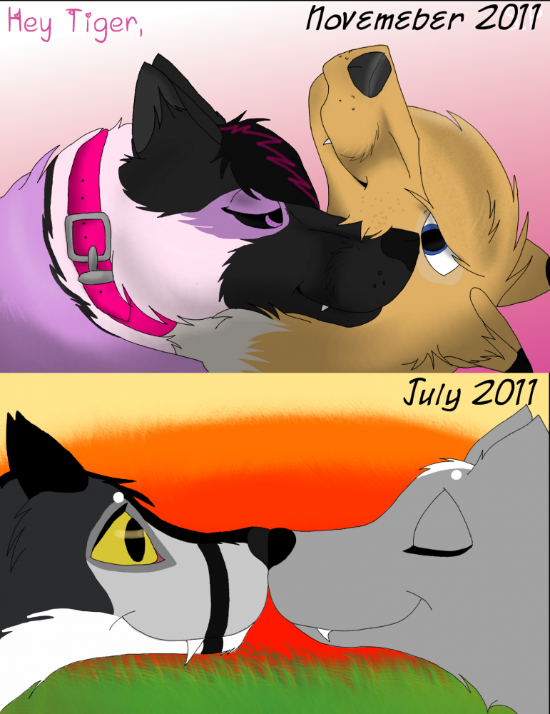  Improvement through months
