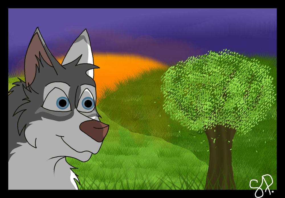 Akela enjoying sunset <3