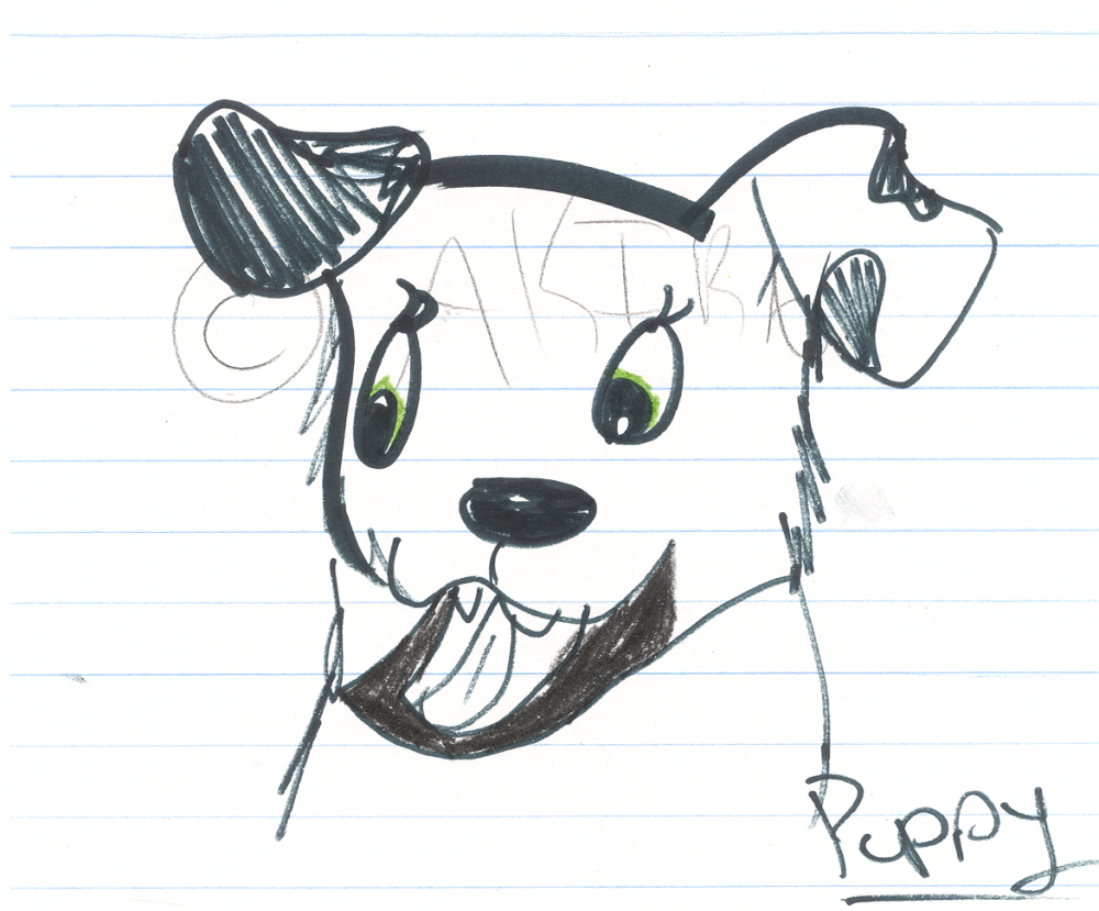 Dalmatian Puppy