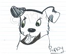 Dalmatian Puppy