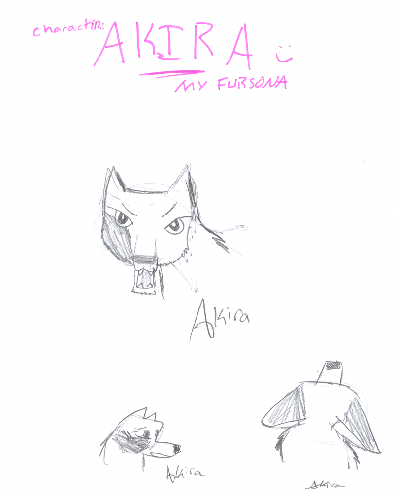 Akira ref.