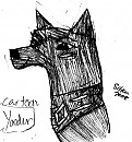 Cartoon Yonder