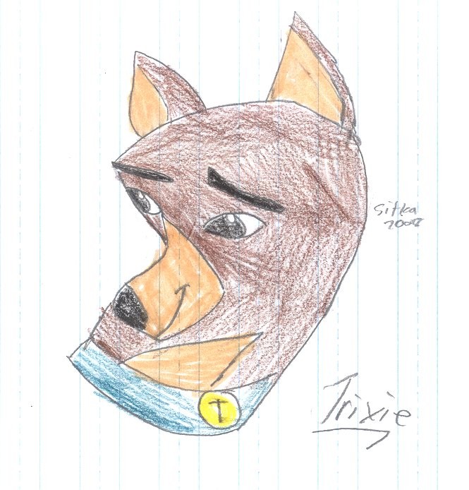 Trixie husky