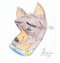 Trixie husky