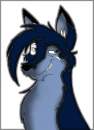 Skater Wolf (colored)