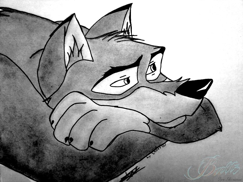 Draw for S.N.K