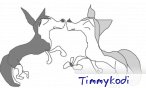 timmykodi 