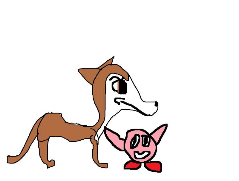 k and k