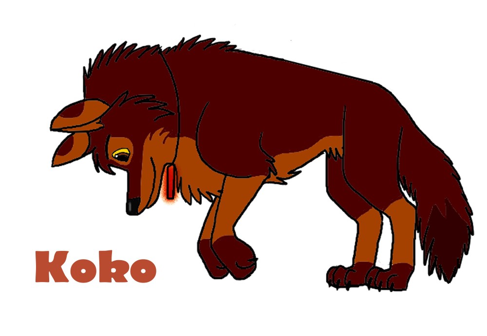 Koko