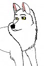 Aniu
