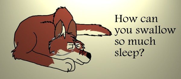 How can you swallow so much sleep?
